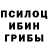 Псилоцибиновые грибы Cubensis Brunatny Skrzat