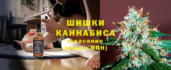 2c-b Корсаков