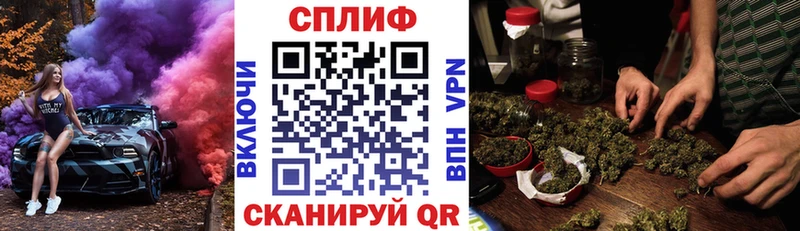 Купить закладки  Богучар  Бошки марихуана марихуана 